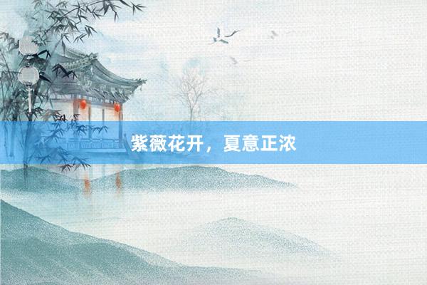 紫薇花开，夏意正浓
