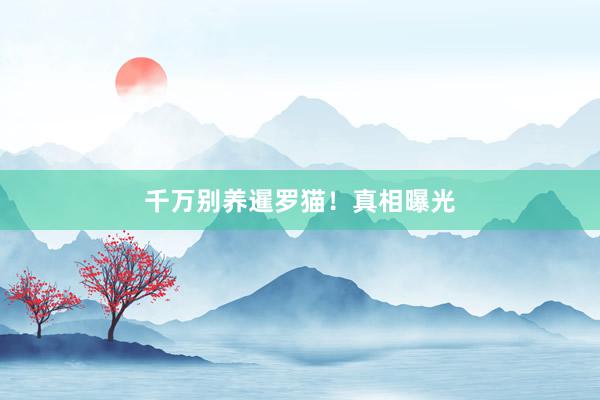 千万别养暹罗猫!真相曝光