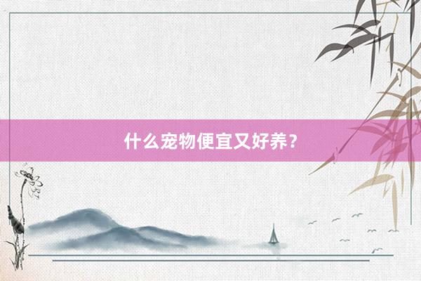 什么宠物便宜又好养？